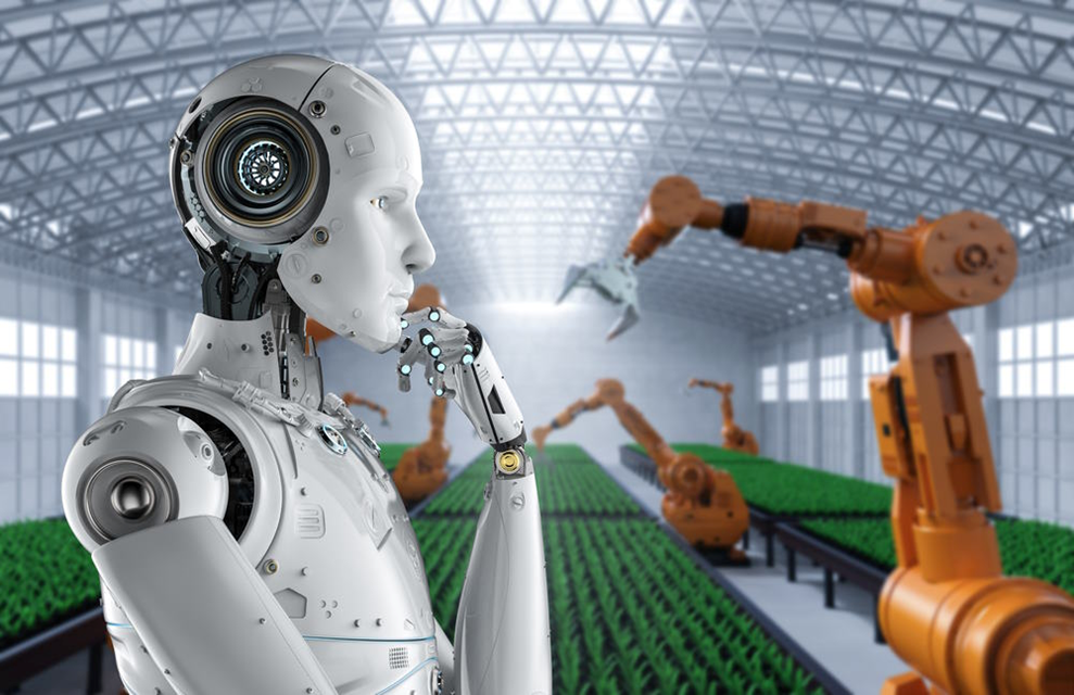 Роботы уже начали заменять рабочих в теплицах в Южной Корее